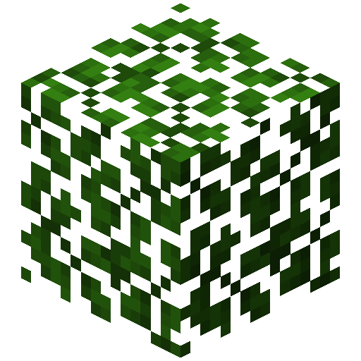 Acacia Leaves (Stack)