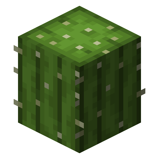 Cactus (Stack)